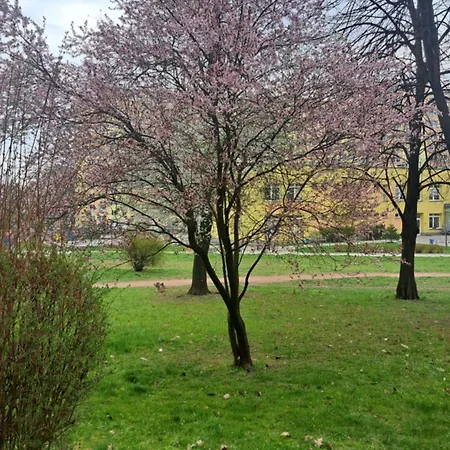 A&s - Happy * Wałbrzych